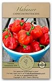 Gaea's Blessing Seeds - Habanero Pepper Seeds (100 Seeds) Non-GMO Seeds with Easy to Follow Planting Instructions - Open-Pollinated Heirloom Hot Pepper Seeds Germination Rate 92% Net Wt. 1.0g photo / $5.99