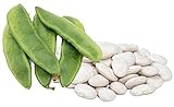 Henderson Lima Beans, 50 Seeds Per Packet, Non GMO Heirloom Seeds, High Germination & Purity, Botanical Name: Phaseolus lunatus, Isla's Garden Seeds photo / $5.99 ($0.12 / Count)