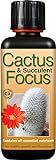 Engrais concentré Liquide Cactus and Succulent Focus 300 ML photo / 11,97 € (39,90 € / l)