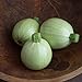 photo David's Garden Seeds Zucchini Round Cue Ball (Green) 25 Non-GMO, Hybrid Seeds
