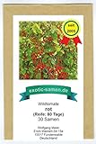Wildtomate rot - krankheitsresistent - auch für den Kübel oder Hängeampel - 30 Samen foto / 2,19 € (0,07 € / stück)