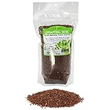 Organic Radish Sprouting Seeds - 1 Pound Non-GMO Daikon Radish Seeds - Plant & Grow Microgreens Indoors photo / $17.67 ($1.10 / Ounce)