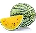 foto Yellow Watermelon Seeds 8+ Sweet Fruit Vine Organic Non-GMO Easy to Grow (Citrullus lanatus) for Garden Outdoor Indoor Farm