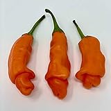 Wayland Chiles Peter Pepper Seeds (Red) photo / $4.00