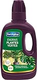 Fertiligène Engrais Plantes Vertes, 400 ML photo / 5,90 € (14,75 € / l)
