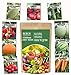photo Heirloom Vegetable Seeds -9 Variety - Non GMO Vegetable Seeds for Planting Indoor or Outdoors, Tomato, Carrots, Cantaloupe, Cucumber, Green Honeydew Melon, Pumpkin, Watermelon, Cherry Belle Radish, S