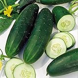 Cucumber, Straight Eight Cucumber Seeds, Heirloom, 25 Seeds, Great for Salads/Snack photo / $1.99 ($0.08 / Count)