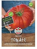 Tomate Gigantomo F1 (Fleischtomate), größte Tomate der Welt, sehr aromatisch foto / 3,43 € (3,43 € / Stück)