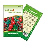 Balkontomaten Balkonzauber Samen - Solanum lycopersicum - Balkontomatensamen - Gemüsesamen - Saatgut für 15 Pflanzen foto / 1,99 € (0,13 € / stück)