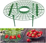 JJZJ 5 Pack Strawberry Supports with 4 Sturdy Legs for Keeping Plant Clean and Not Rot in Rainy Days photo / $11.99