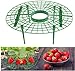 photo JJZJ 5 Pack Strawberry Supports with 4 Sturdy Legs for Keeping Plant Clean and Not Rot in Rainy Days