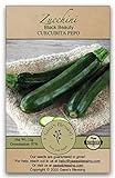Gaea's Blessing Seeds - Zucchini Seeds - Non-GMO - with Easy to Follow Planting Instructions - Heirloom Black Beauty Summer Squash 97% Germination Rate photo / $5.99