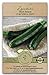 photo Gaea's Blessing Seeds - Zucchini Seeds - Non-GMO - with Easy to Follow Planting Instructions - Heirloom Black Beauty Summer Squash 97% Germination Rate