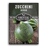 Survival Garden Seeds - Round Zucchini Seed for Planting - Pack with Instructions to Plant and Grow Small Green Zucchinis in Your Home Vegetable Garden - Non-GMO Heirloom Variety photo / $4.99
