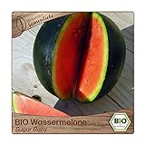 Samenliebe BIO Wassermelonen Samen Sugar Baby besonders süße und saftige Melone rund rot 10 Samen samenfestes Gemüse Saatgut für Gewächshaus Freiland und Balkon BIO Gemüsesamen foto / 3,39 €