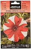 Petunia Compacta Estrella ROJA foto / 1,88 €