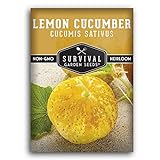 Survival Garden Seeds - Lemon Cucumber Seed for Planting - Packet with Instructions to Plant and Grow Little Yellow Cucumbers in Your Home Vegetable Garden - Non-GMO Heirloom Variety photo / $4.99