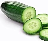 Grown in USA! 30+ Muncher Burpless Sweet Cucumber Seeds, Heirloom Non-GMO, Non-Bitter and Acid Free, Crispy and Sweet, Fragrant and Delicious, Cucumis sativus photo / $2.69 ($25.43 / Ounce)