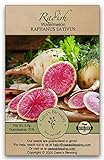 Gaea's Blessing Seeds - Radish Seeds (2.5g) Watermelon Radish Non-GMO Seeds with Easy to Follow Planting Instructions - Heirloom 89% Germination Rate photo / $5.99