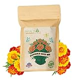 NatureZ Edge Marigold Seeds Mix, Over 5600 Seeds, Marigold Seeds for Planting Outdoors, Dainty Marietta, Petite French, Sparky French, and More photo / $10.97 ($0.00 / Count)