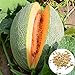 foto Semillas de melón cantaloupe, 1 bolsa de semillas dulce germen jugoso semillas de frutas naturales de la huerta