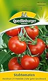Tomatensamen - Tomate Harzfeuer F1 von Quedlinburger Saatgut foto / 2,81 €