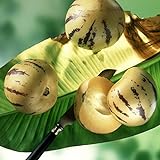 Benoon Pepino Seeds, 1 Bolsa Pepino Seeds Semillas De Hortalizas Rústicas Aromáticas Medicinales Para La Granja Semillas de pepino foto / 5,26 €