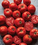 Burpee Big Boy' Hybrid Large Slicing Red Tomato Rich Flavor, 50 seeds photo / $8.63 ($0.17 / Count)