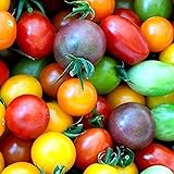 100Pièces Mélanger Des Graines De Tomates Cerises Arc-en-ciel Héritage Coloré, Graines De Tomates Naines Pour La Plantation De Jardin à La Maison photo / 6,49 €