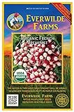Everwilde Farms - 250 Organic French Breakfast Radish Seeds - Gold Vault Packet photo / $3.75