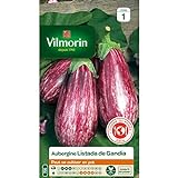 Vilmorin - Sachet graines Aubergine Listada de Gandia photo / 5,67 €