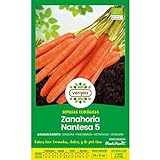 Semillas ecológicas de Zanahoria Nantesa 5 Vergea foto / 1,85 €
