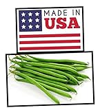 Green Bean Seeds-Heirloom Variety-Bush Bean Planting Seeds-50+ Seeds-USA Grown and Shipped from USA photo / $6.99