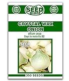 Crystal Wax Onion Seeds - 350 Seeds Non-GMO photo / $1.59