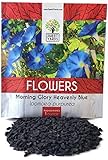 Morning Glory Seeds Heavenly Blue - Large 1 Ounce Packet - Over 1,000 Flower Seeds photo / $7.97