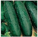 50 Marketmore 76 Cucumber Seeds | Non-GMO | Heirloom | Instant Latch Garden Seeds photo / $6.95
