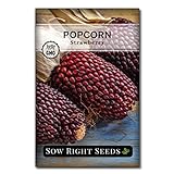 Sow Right Seeds - Strawberry Popcorn Seed for Planting - Non-GMO Heirloom Packet with Instructions to Plant a Home Vegetable Garden photo / $4.99