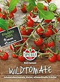 83235 Sperli Premium Tomatensamen Red Currant | Buschtomaten Samen | Tomatensamen Resistent | Wildtomaten Samen | Johannisbeertomaten Samen | Wildtomate rote murmel | Alte Tomatensorten foto / 4,97 €