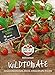 foto 83235 Sperli Premium Tomatensamen Red Currant | Buschtomaten Samen | Tomatensamen Resistent | Wildtomaten Samen | Johannisbeertomaten Samen | Wildtomate rote murmel | Alte Tomatensorten