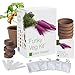 photo Plant Theatre Funky Veg Garden Starter Kit - 5 Types of Vegetable Seeds with Pots, Planting Markers and Peat Discs - Kitchen & Gardening Gifts for Women & Men