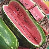 Jubilee Sweet Watermelon Seeds, 75 Heirloom Seeds Per Packet, Non GMO Seeds photo / $5.99 ($0.08 / Count)