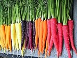500+ Rainbow Carrot Seeds to Grow - Colorful Blend of Exotic Colored Carrots. Edible Vegetables. Made in USA photo / $9.99