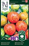 Tomatensamen Tigerella - Nelson Garden Samen für Gemüsegarten - Tomaten Saatgut (36 Stück) (Einzelpackung) foto / 3,45 €