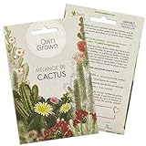 Mélange de graines de cactus: Kit graine de cactus à fleurs pour plantes de cactus en pot magnifique - Plante naturelle et décorative d'intérieur - Plant mini-cactus à faire pousser par OwnGrown photo / 3,95 € (3,95 € / unité)