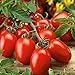 foto Semilla de fruta fresca con 80pcs / bolsa Semilla de tomate rara Intolerante frío Fruta jugosa Nutritiva Semilla de tomate rara para plantar Garden Yard Home Landscaping