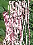 Long Bean Seeds 10g Snake Yard-Long Asparagus Bean Red Noodle Pole Bean Garden Vegetable Organic Green Fresh for Planting Outside Door Cooking Dish Taste Sweet Delicious (Bean Seeds-Mix) photo / $7.99 ($19.98 / Ounce)