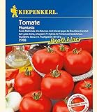 Kiepenkerl Tomaten 'Phantasia' F1,1 Portion foto / 6,42 €