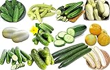 100+ Cucumber Mix Seeds 12 Varieties Non-GMO Delicious and Crispy, Grown in USA. Rare and Super Prolific photo / $6.25 ($35.43 / Ounce)