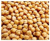 Garbanzo Bean Seeds - Chickpea Seeds - 30+ Seeds photo / $9.99 ($19.98 / Ounce)