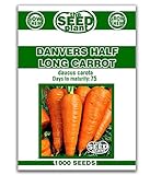 Danvers Half Long Carrot Seeds - 1000 Seeds Non-GMO photo / $1.59